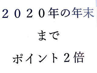 今年は、ポイント2倍ですよ!!!