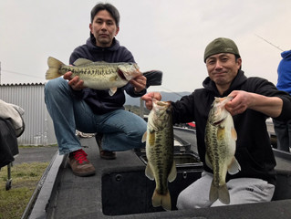 釣れてる人は釣れてます♪
