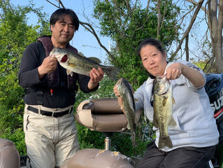 GW8日目~♪ 果たして釣果は?