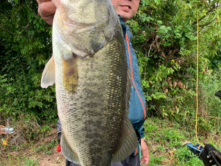 釣果あがってますよ~♪