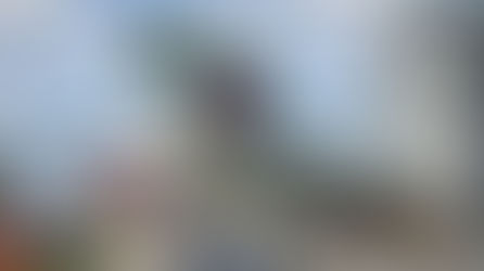 ちゃんと釣りができれば、、、