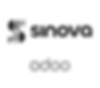 sinova-gris.png