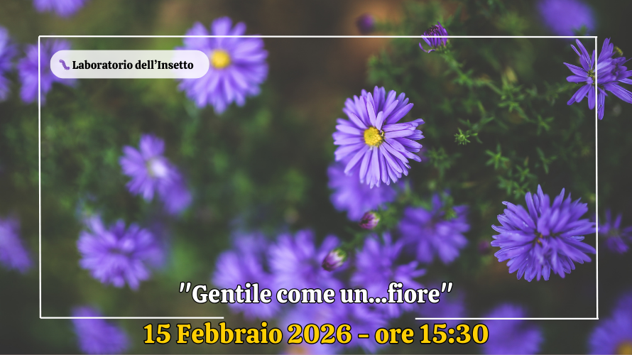 🐛"Gentile come un...fiore"