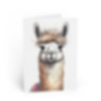 Funky Llama Greeting Card