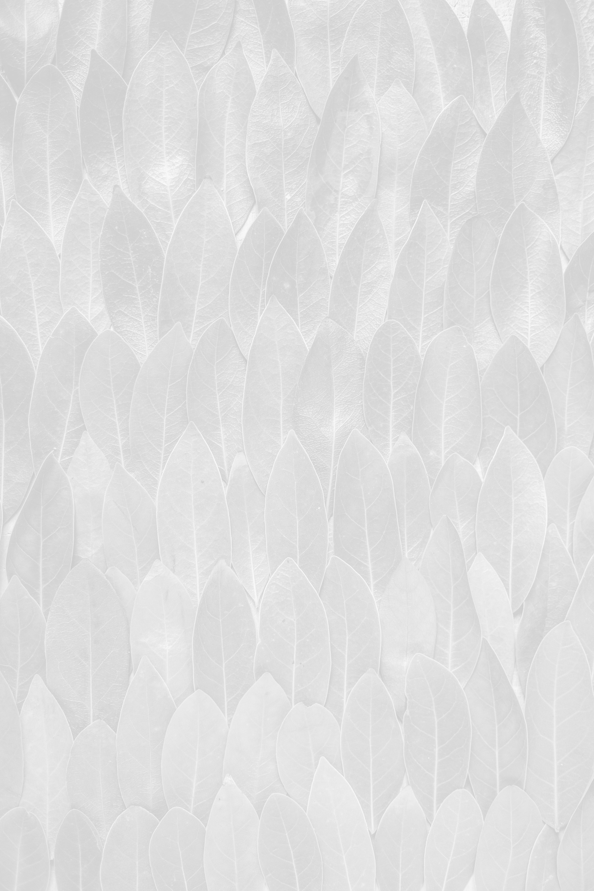 Club Synergie spa ambiance with warm, inviting decor