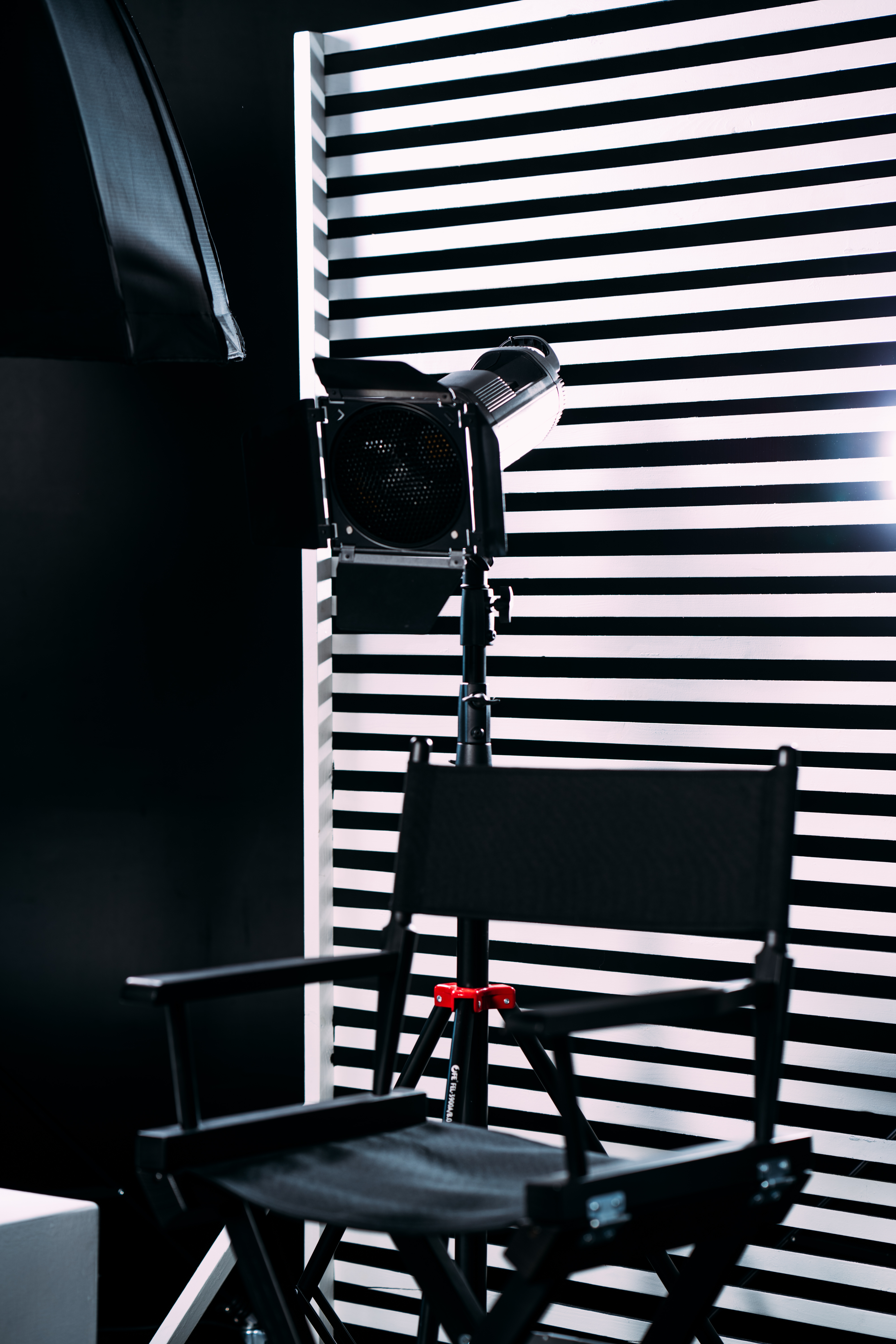 TV Production Director Chair