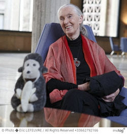 _MG_8338_LEFEUVRE_BD