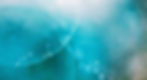 31C2A347-8C25-4D78-9EFC-4D1A77E01DB6_edited_edited.jpg