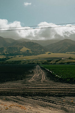 DSCF1319.jpg