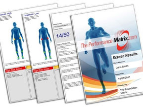 PRESENTATION AT WCPT: AN ONLINE MOVEMENT AND PERFORMANCE SCREEN