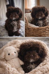 646262880_2116410609146330_498372398566752314_n