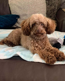 608808323_2301904316977513_2885690389285241341_n