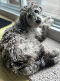 547485142_1119093649744349_837321501249835851_n