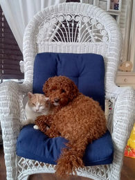 659634265_1999374207321283_6181485390384177836_n