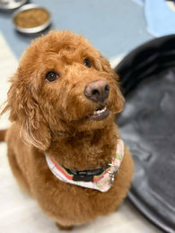 582040424_2920290918165245_5014474297360725802_n