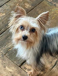 649711845_1425645462634111_188187720107571580_n