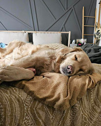 661584479_2484694601971884_390543164402332435_n