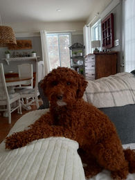 658926146_1449976749840788_4403154438896131285_n