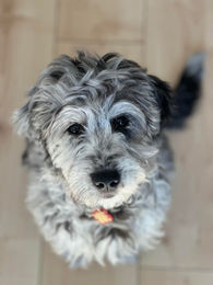 547505380_817407297294573_5188439061407373837_n