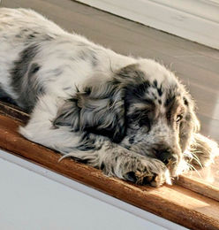 637784888_1455817982577160_1615751399651841864_n