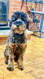 553902319_1319768956270355_1807604061518922255_n