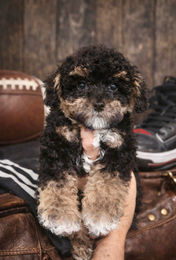 611686657_2005136920333020_4442290708780280563_n