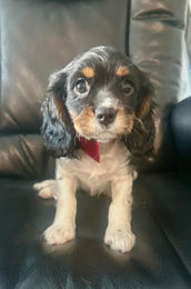 629902335_1386976532652134_1721575472996155441_n