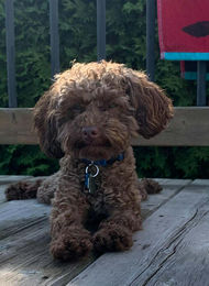 605437146_891220126711865_3094992195271432895_n