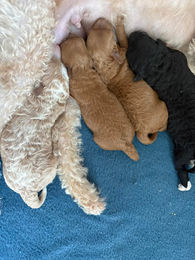 651165439_929290136500607_7253812548360563175_n