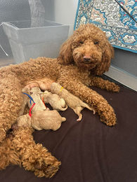 652752104_918810797417914_7402082413659695892_n