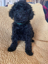 873dd1424c0580173de8294619d9cfd5