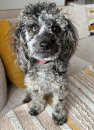 626957109_889207800495068_71161534189348714_n