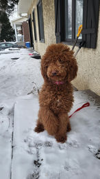 610642702_1603399924172448_5919752956790240358_n