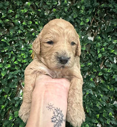 662275341_837783389345909_3385457203436589135_n