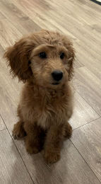 608826920_1903158450320080_2745188756525426860_n