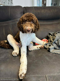 592339014_1624464835591383_7838776241376283652_n