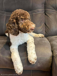 591211457_1366285001626401_3479528339956095367_n