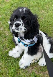 7e69170afa341bfd1fb8da5fd5bd6a24