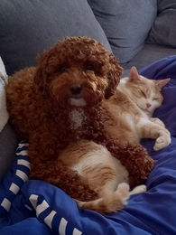 664649892_700551339786103_2562431314725659507_n