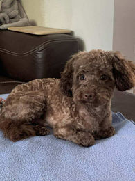 62c95335bb58579f7220a402111e4269