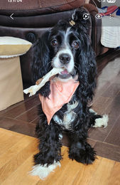 658006138_1508815784174697_1063406497038650876_n