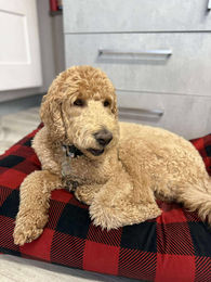 551839700_1322056889479485_6074765160370102440_n