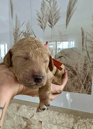 663841428_1577304820004405_6414622401353217080_n