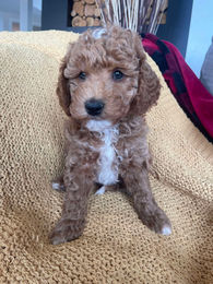 d8979012198429e55b9b6c7392cd0b6c