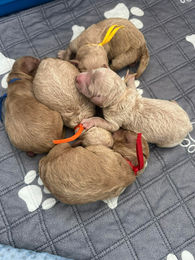 654199247_2438015283381512_1917574031264748109_n