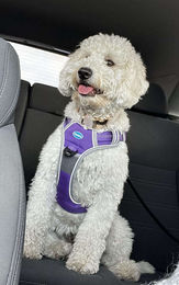 e96274cb9ed0e19c501c3bb65058444c