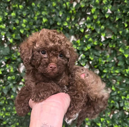 584378833_857353973459331_2213484519085052147_n