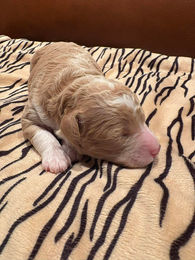 653924766_1587105142579721_4953853976538708800_n