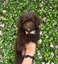 614836714_2333956140420695_2335767357954364053_n