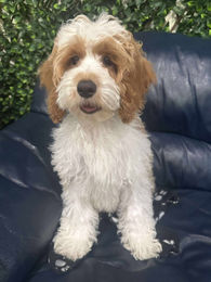 556028456_1570079687449515_2969530000888828323_n